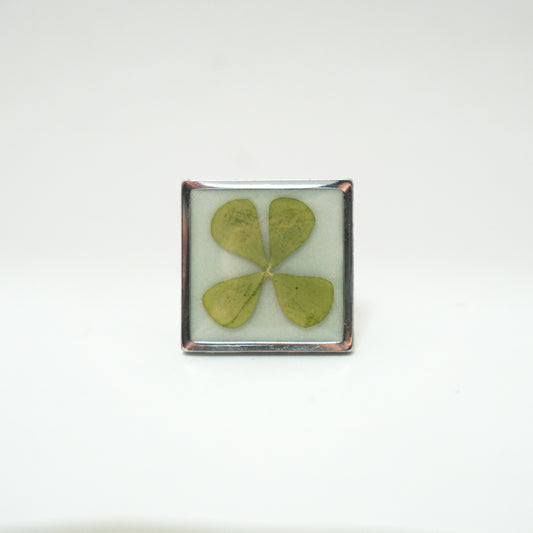 Anillo ajustable Trébol fondo blanco