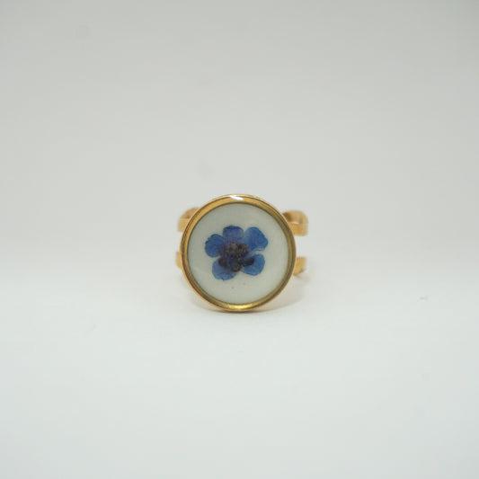Anillo ajustable Nomeolvides fondo blanco