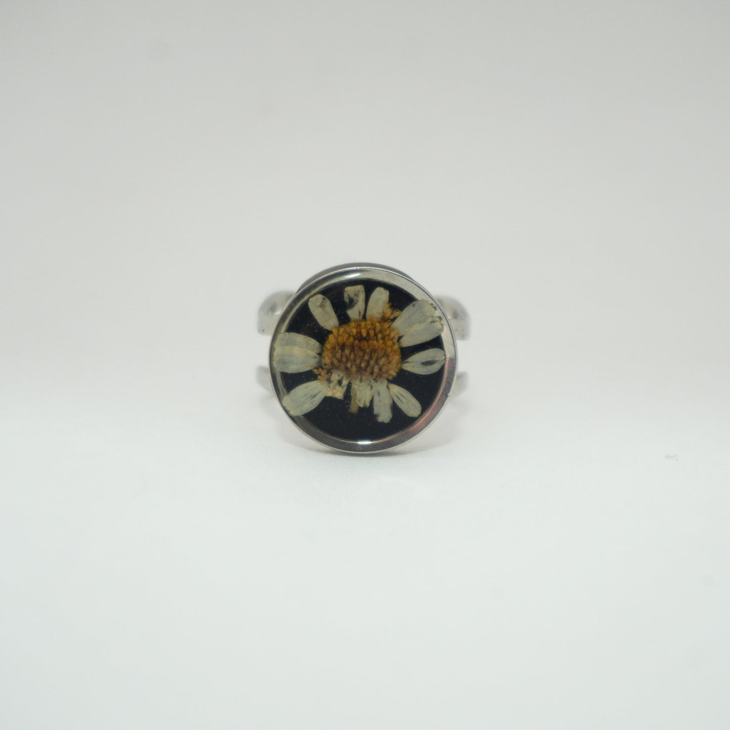 Anillo ajustable hierba de Santa María fondo negro