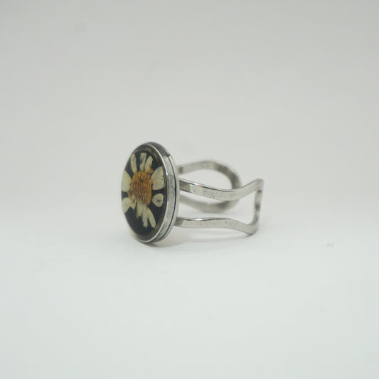 Anillo ajustable hierba de Santa María fondo negro