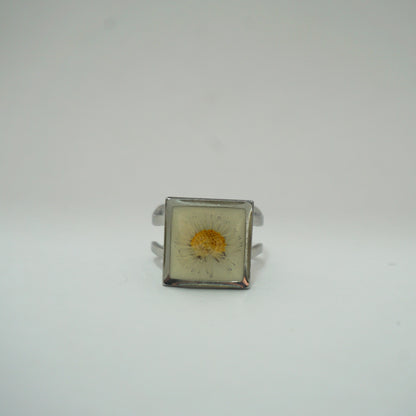 Anillo ajustable margarita fondo blanco