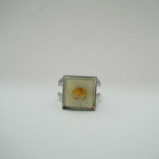 Anillo ajustable margarita fondo blanco