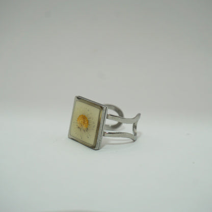 Anillo ajustable margarita fondo blanco