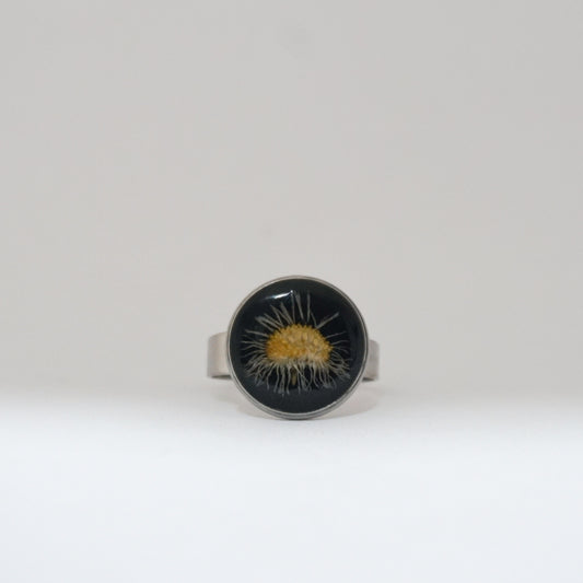 Anillo ajustable margarita fondo negro