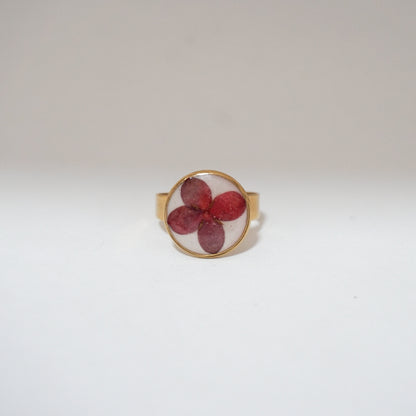 Anillo ajustable ixora fondo blanco