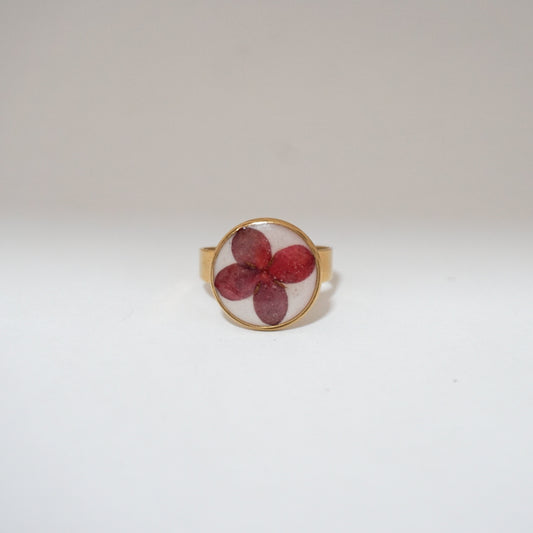 Anillo ajustable ixora fondo blanco