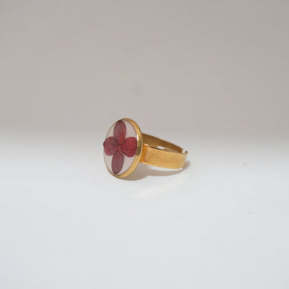 Anillo ajustable ixora fondo blanco