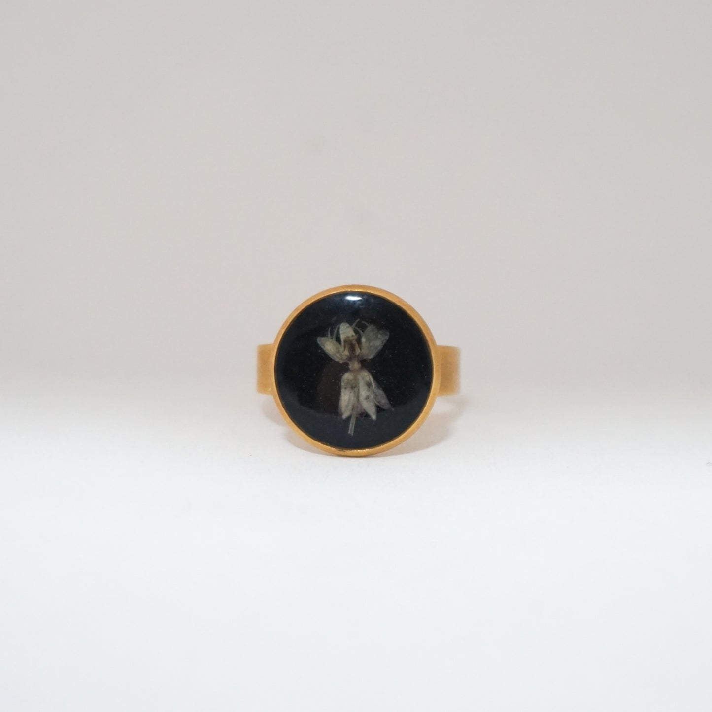Anillo ajustable algodoncillo fondo negro