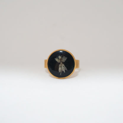 Anillo ajustable algodoncillo fondo negro