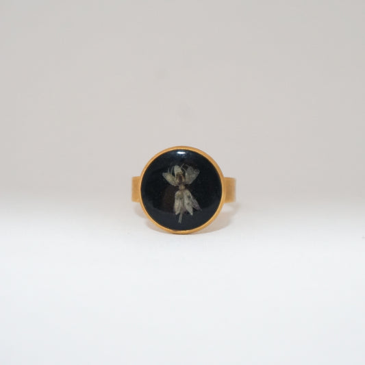 Anillo ajustable algodoncillo fondo negro