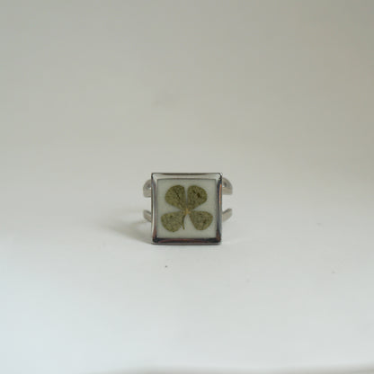 Anillo ajustable trébol fondo blanco