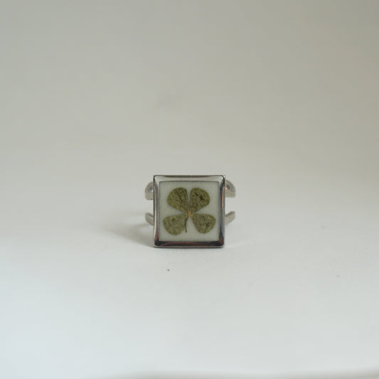 Anillo ajustable trébol fondo blanco