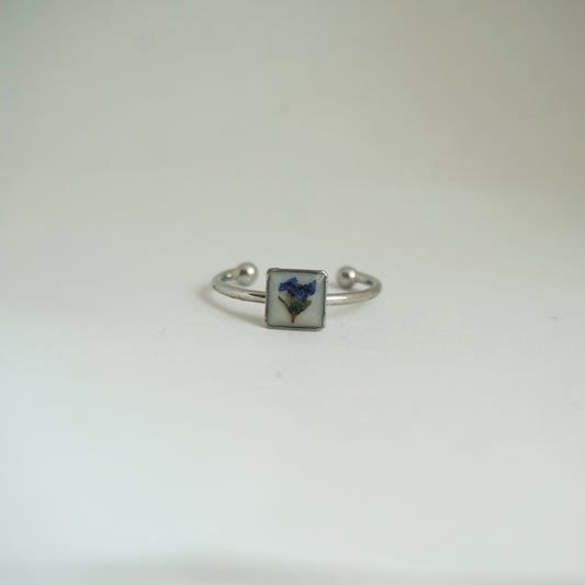 Anillo ajustable nomeolvides fondo blanco