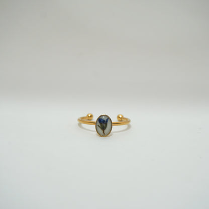 Anillo ajustable nomeolvides fondo blanco