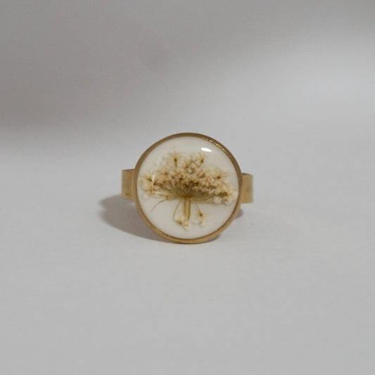 Anillo ajustable encaje fondo blanco