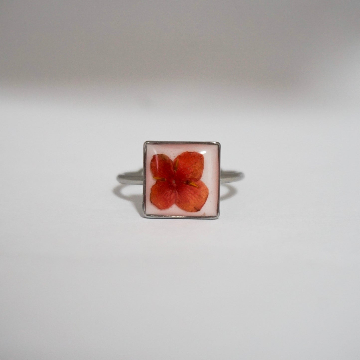 Anillo ajustable ixora fondo blanco