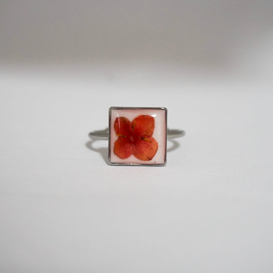 Anillo ajustable ixora fondo blanco