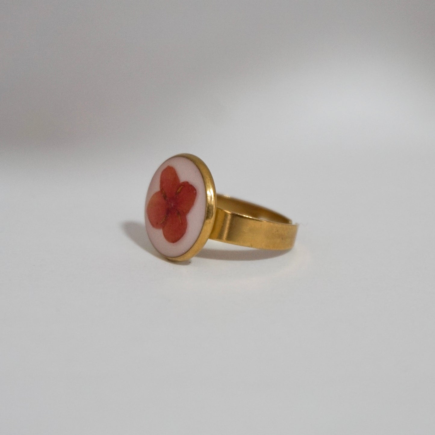 Anillo ajustable ixora fondo blanco