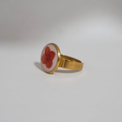 Anillo ajustable ixora fondo blanco