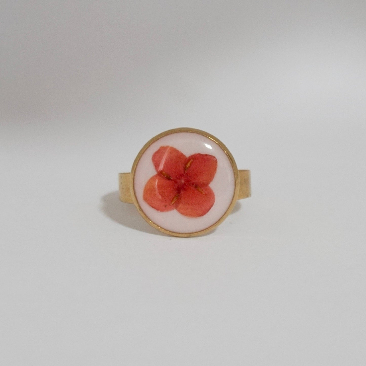 Anillo ajustable ixora fondo blanco
