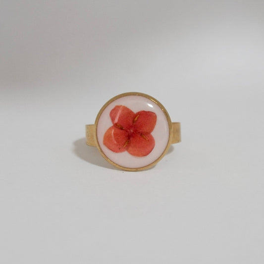 Anillo ajustable ixora fondo blanco