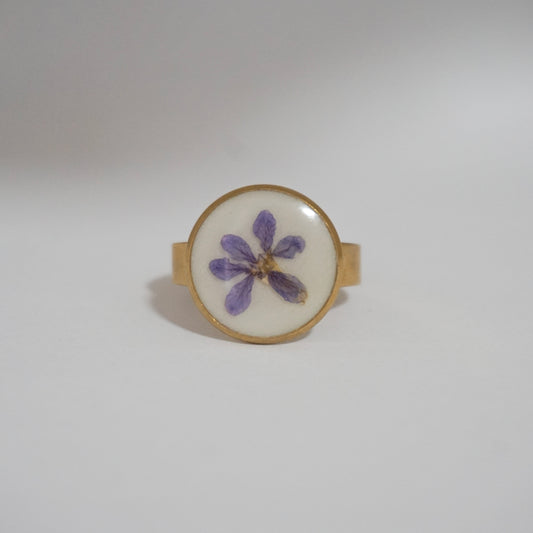 Anillo ajustable trueno de venus fondo blanco