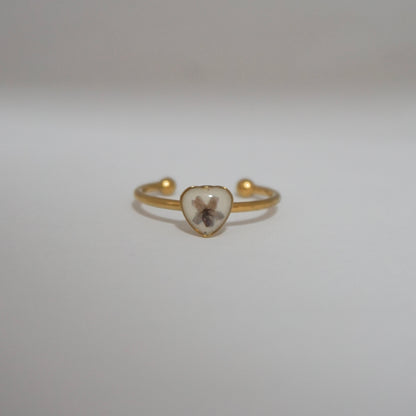 Anillo ajustable verbena fondo blanco
