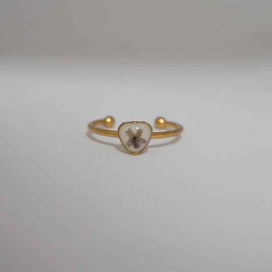 Anillo ajustable verbena fondo blanco